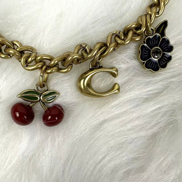 Coach Motif Chain Bag Charm In Metal/Brass/Multi Heart Cherry C CN119 NWT - Picture 4 of 7
